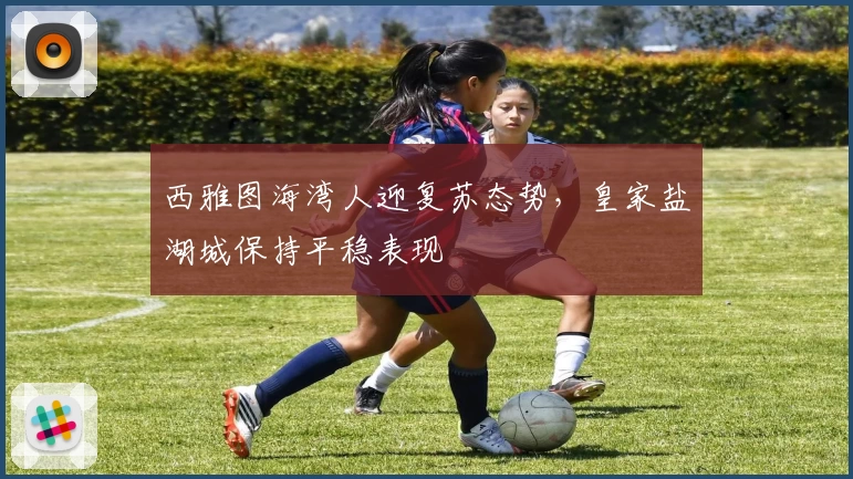 西雅图海湾人迎复苏态势，皇家盐湖城保持平稳表现