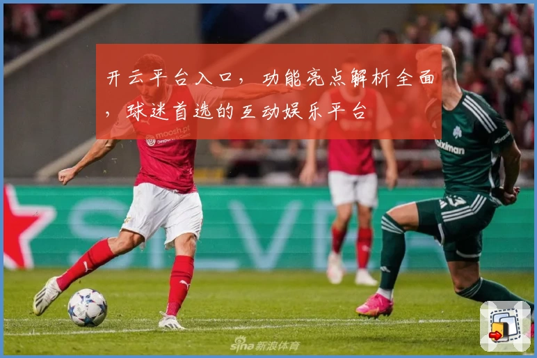 开云平台入口，功能亮点解析全面，球迷首选的互动娱乐平台